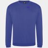Pro sweatshirt Thumbnail