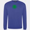 Pro sweatshirt Thumbnail
