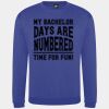 Pro sweatshirt Thumbnail